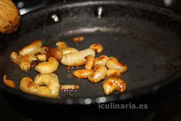 larva de escarabajo | Innova Culinaria